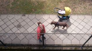 Film balkonowy Paweł Łoziński