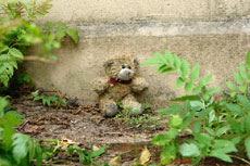 Fremder Teddybär